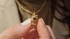 Quokka