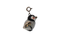 Pinguino