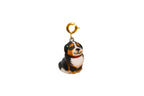 Bernese: Gigante in formato mini